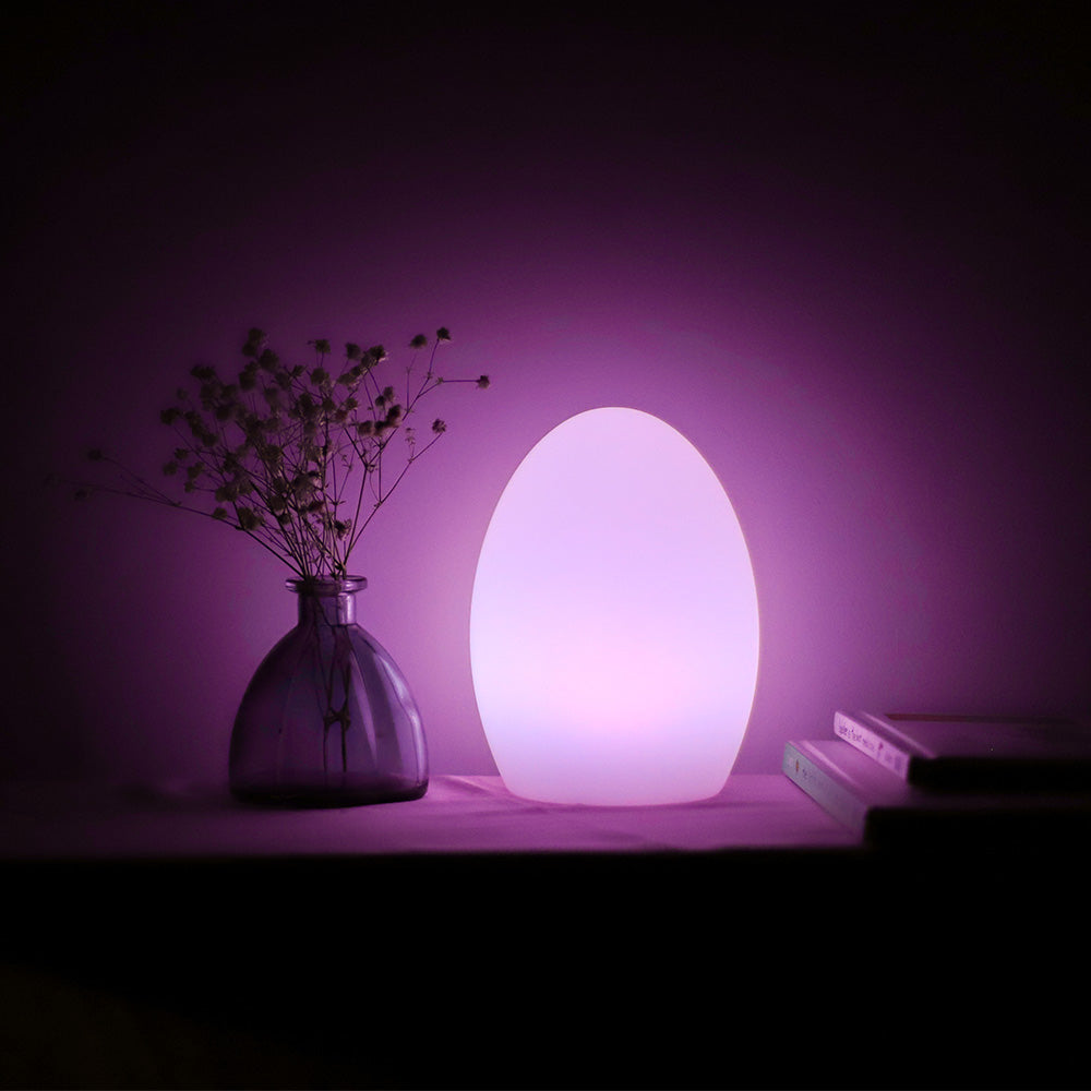 8 Inch Led Egg Light Nightlight Mood Lighting Lamp For Adults