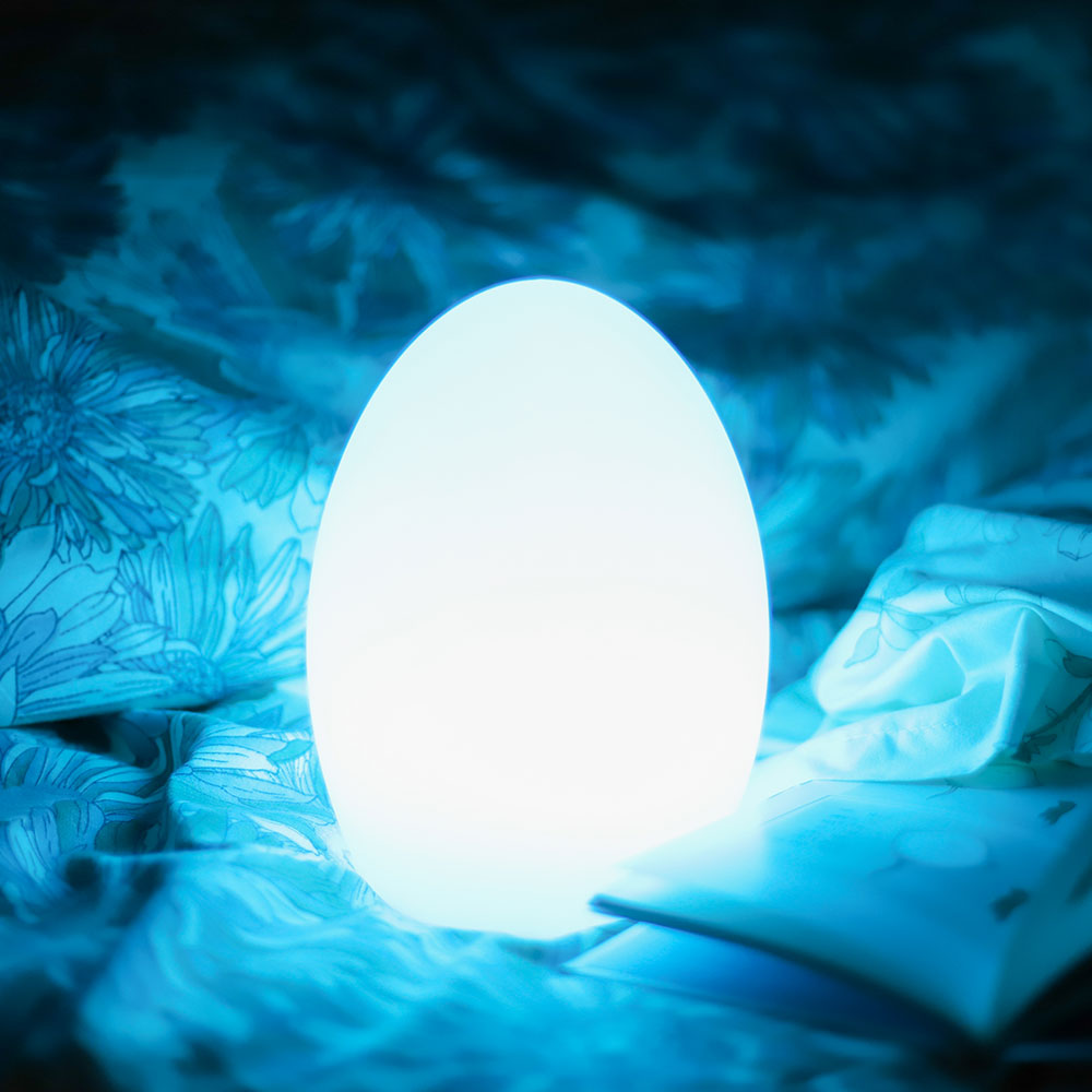 8-inch LED Mood Egg Light for home restaurant coffee shop table